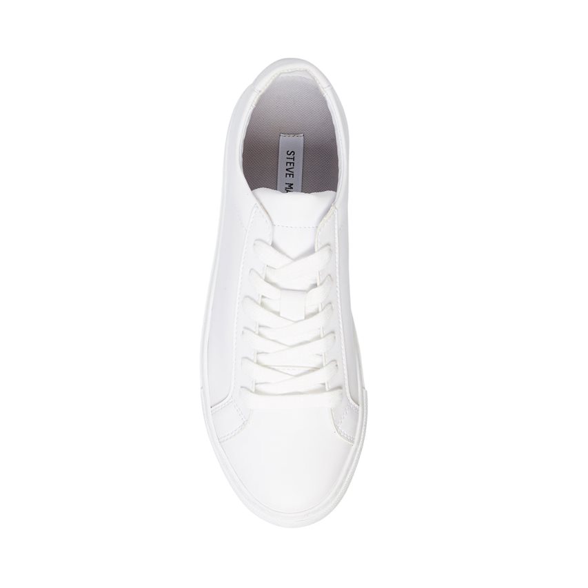 Zapatillas Steve Madden Bolo Hombre Blancas | ES JX692E